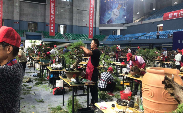 1600936828975622.jpg 1600936802(1).jpg